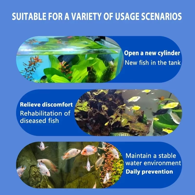 SIKEZHAN Fish Disease Treatmen - Water Soluble Stabilizer ulasan dan harga